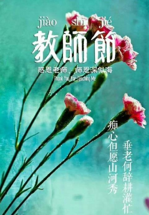 赞美老师的优美句子短句 (赞美老师的优美语段 您真是一位优秀的教师！ 敬爱的老师)