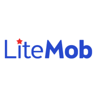 LiteMob - DSP&RTB实时竞价广告平台