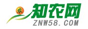 中国最新、最专业、最及时的农业类新闻-知农网
