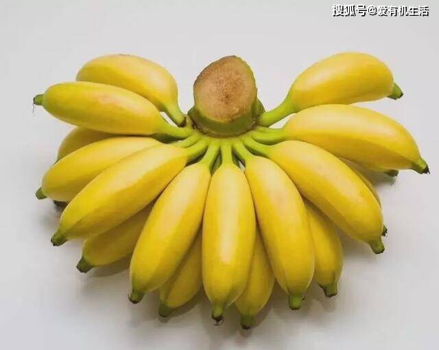 香蕉有没有种子答案 (香蕉有没有种子 香蕉的种子探究)