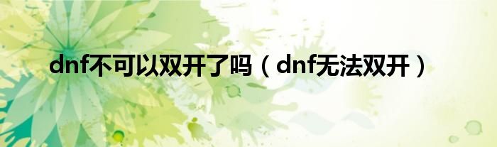 dnf能双开的叫什么软件 (dnf能双开吗 DNF能否实现双开)
