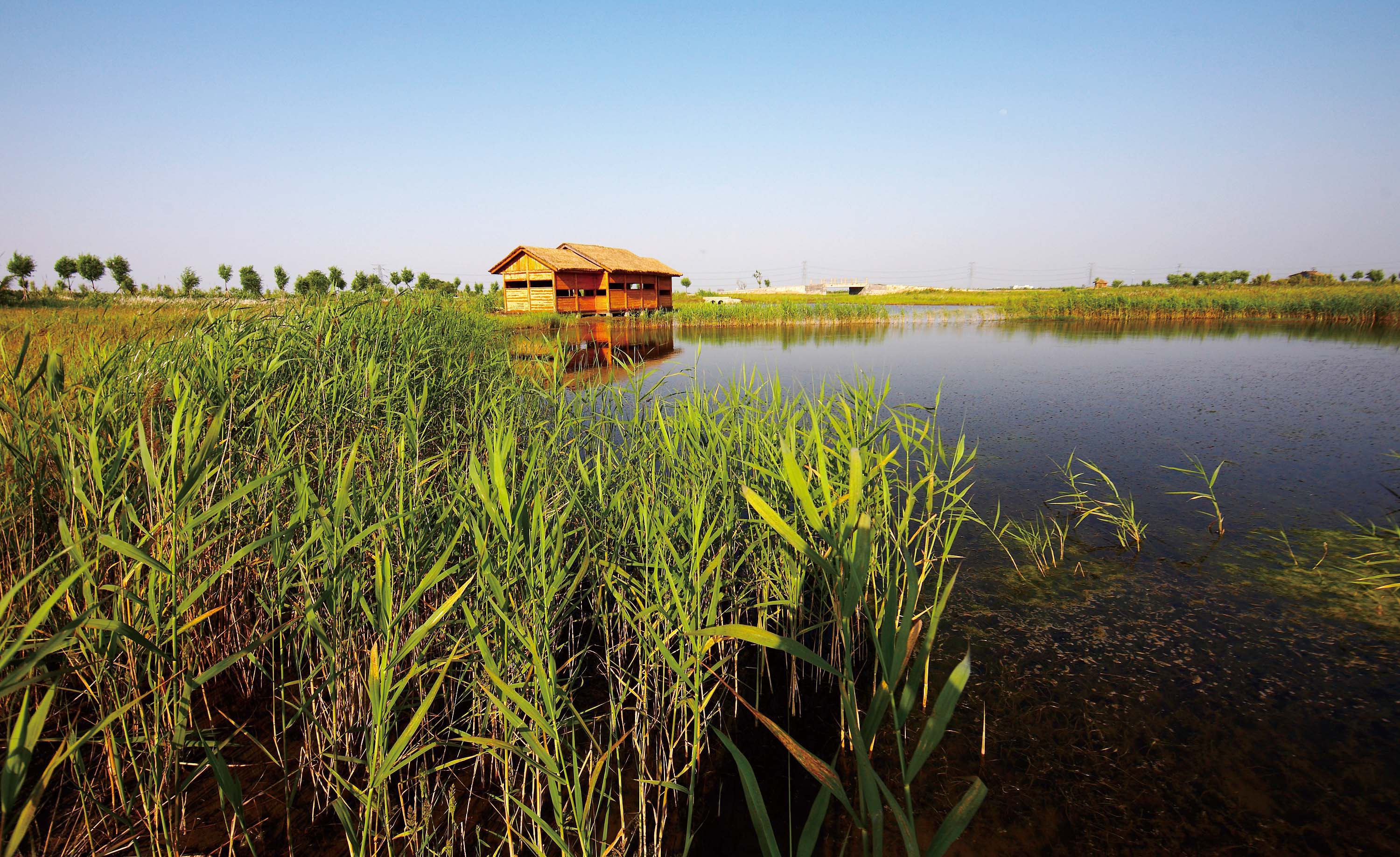 杭州湾湿地公园