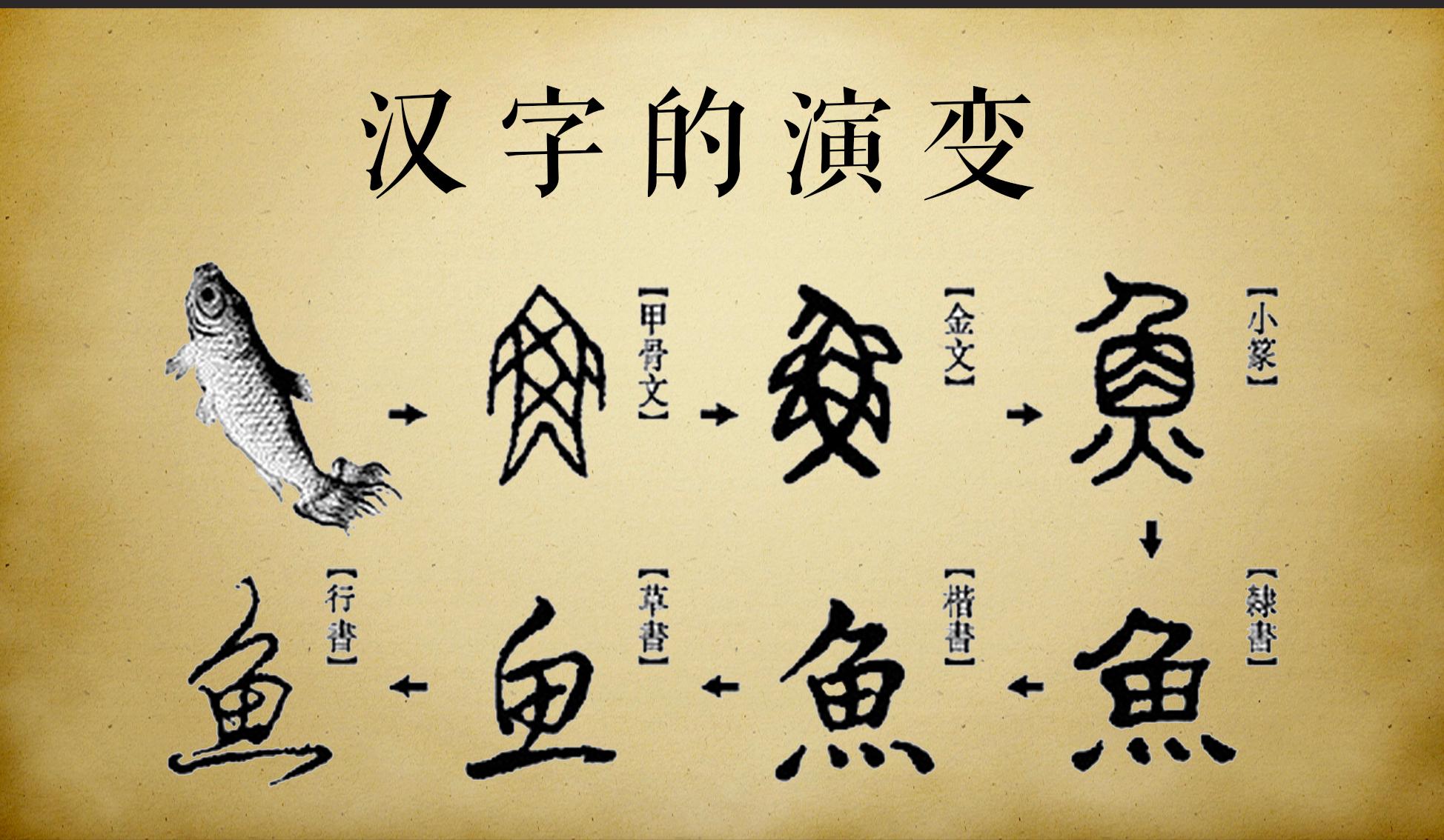 中国汉字的起源和演变过程 (中国汉字的起源 探究中国汉字的源起与发展)