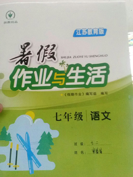 七年级语文教科书电子版 (七年级语文教学计划 初中语文老师的教学计划)