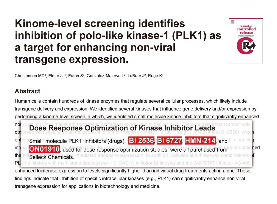 探究plk1对细胞周期的影响 (探究PLSQLDeveloper的作用及其使用方法 plsqldeveloper)