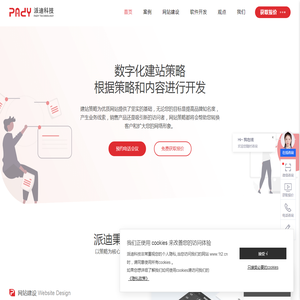 网站建设公司,网页设计制作,网站开发维护-杭州派迪